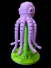 Octopus