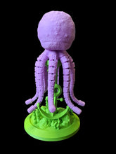 Octopus