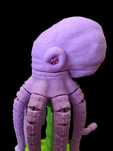 Octopus