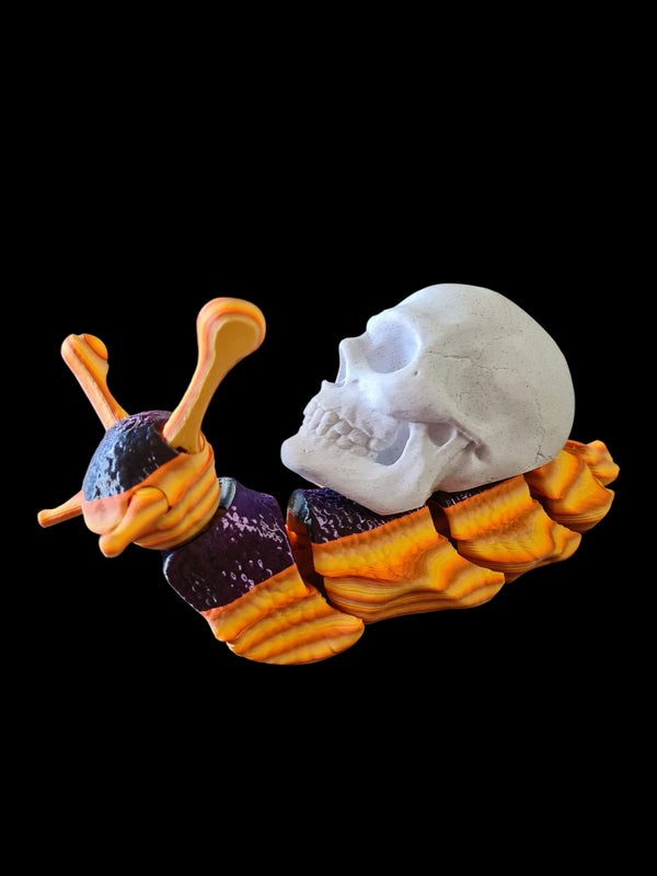 Eerily Friendly Snail