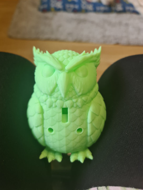 Whistling Owl